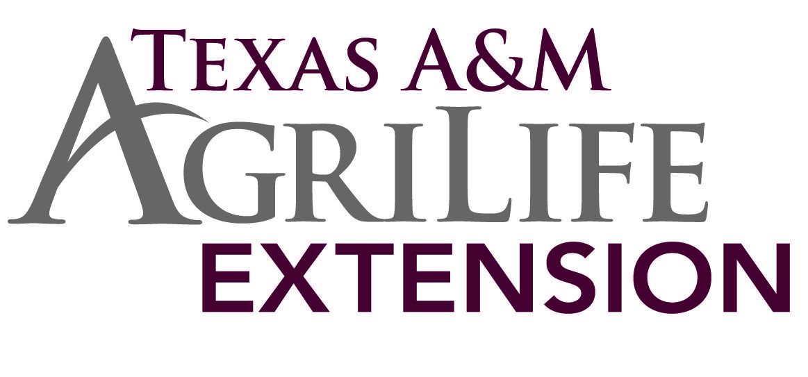 Extensión AgriLife de Texas A&M